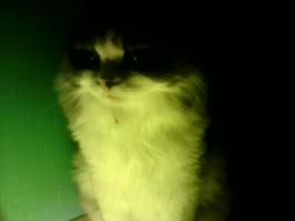 Ибо путь воина – это путь смерти