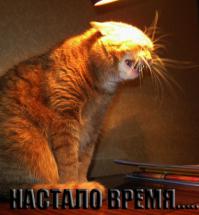 По ночам надо дома сидеть