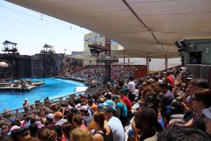 На Юнивёрсал Студиоз в Калифорнии до сих пор находятся декорации от этого фильма. Время от времени разыгрывают штурм поселения этими..каких там..укурками или как их там.
По кассовым сборам фильм неоправдал себя.