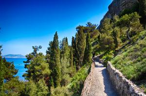 Галицинская тропа