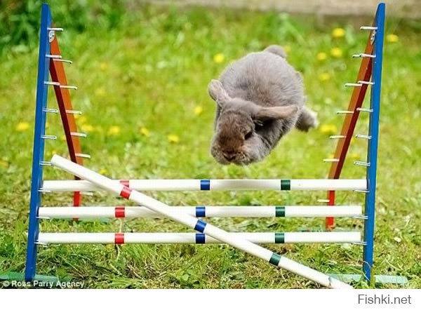 Гравитация не действует!