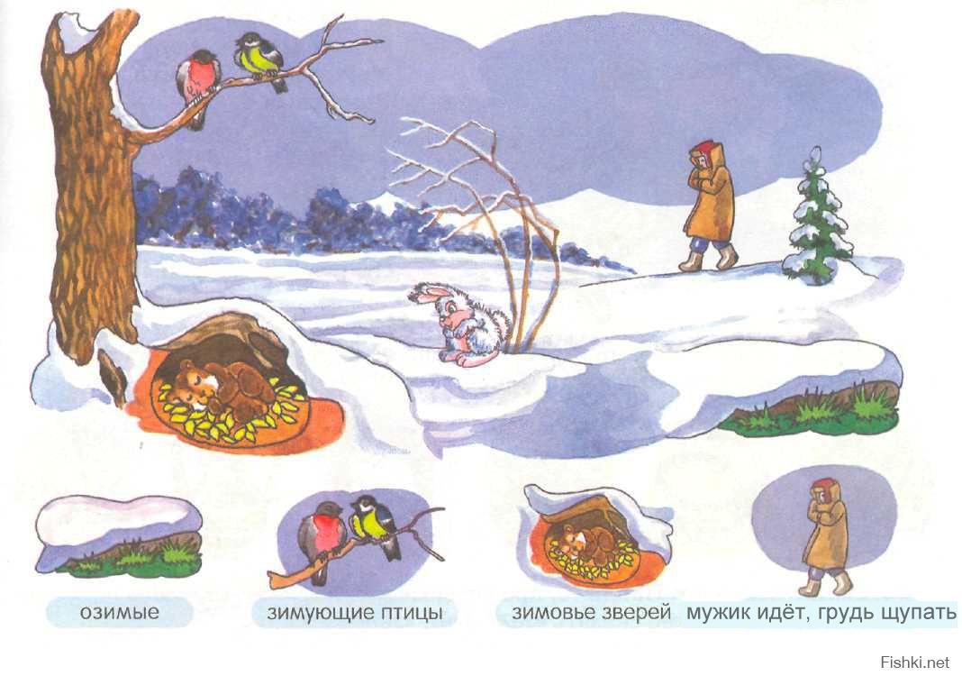 Где прячется зима. Животные зимой задания для дошкольников. Зимующие звери. Как зимуют животные. Зимующие животные для детей задания.