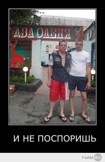 Демотиваторы 
