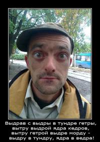 Выдры могут быть милыми и смешными