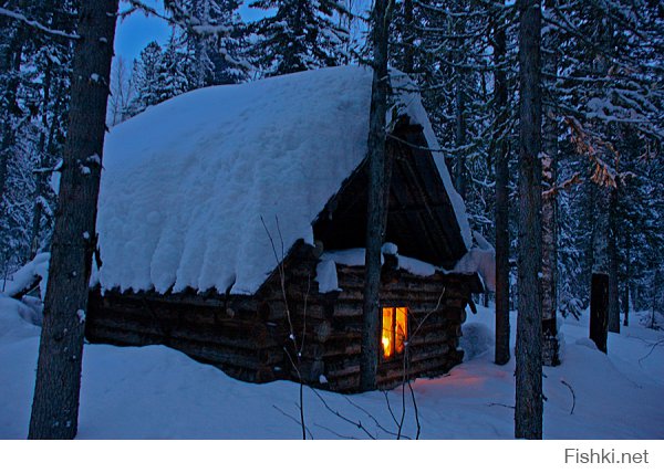 Глухая Сибирская тайга.Охотничий домик,до ближайшего жилья 40 км по нетронутому снегу.
Фотография называется "Огонек надежды".