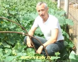 Отличные методы лечения различных недугов от наших предков