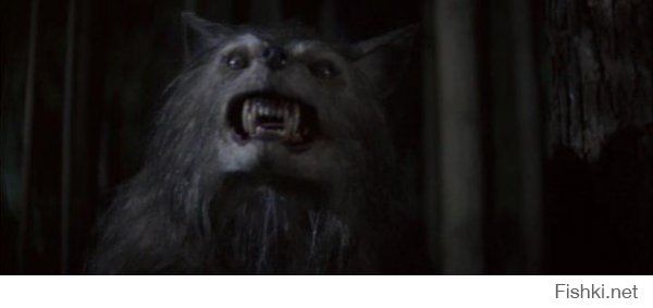 Мой первый фильм ужасов и самый сильный страх детства.Плохая луна или Зловещая луна.Не смотря на то,что фильм старый,собака была сделана достаточно реалистично.)