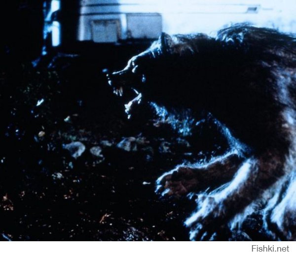 Мой первый фильм ужасов и самый сильный страх детства.Плохая луна или Зловещая луна.Не смотря на то,что фильм старый,собака была сделана достаточно реалистично.)