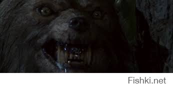 Мой первый фильм ужасов и самый сильный страх детства.Плохая луна или Зловещая луна.Не смотря на то,что фильм старый,собака была сделана достаточно реалистично.)