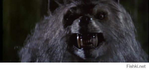 Мой первый фильм ужасов и самый сильный страх детства.Плохая луна или Зловещая луна.Не смотря на то,что фильм старый,собака была сделана достаточно реалистично.)