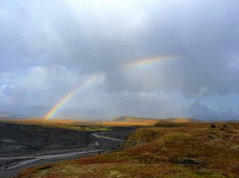 свои 5 копеек