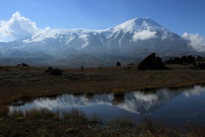 Камчатка, которую я люблю