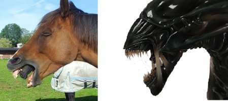 Удачный кадр