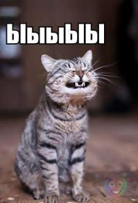 Чудики из социальных сетей