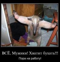 Спасение некоего существа