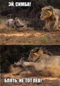 Тем, у кого день не задался