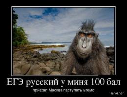  Картинки со смешными подписями