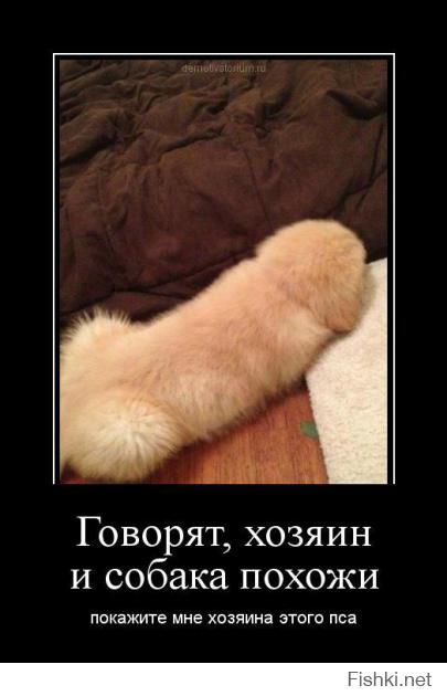 Фотографии из серии «Показалось»