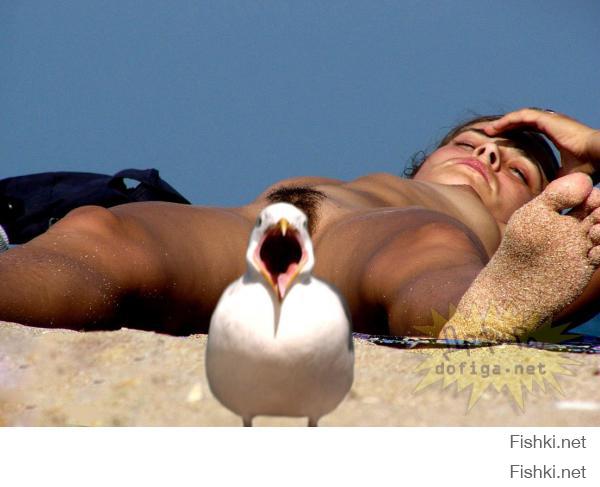 Фотографии из серии «Показалось»