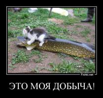 Маленький охотник :)