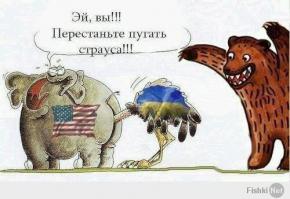 Конечно вы укропы привыкшие по жопам заглядываться