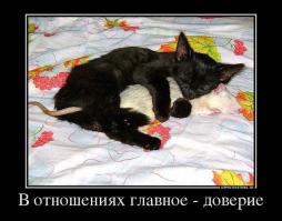 Фишкина солянка за 04.10.2014 