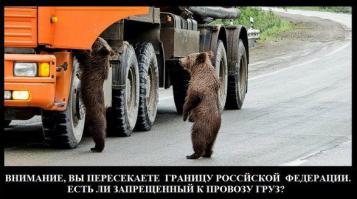 Медведица сводила детей в парк развлечений