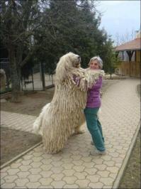 20 фотографий обнимашек, от которых становится теплее на душе