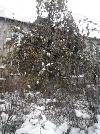 Фотоподборка за 19.11.2014