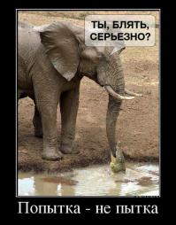 Побег из пасти крокодила