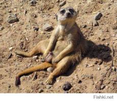 А это я на нудистском пляже