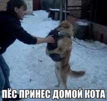 Неразлучные друзья