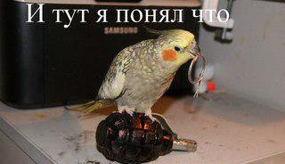 Фотографии, снятых за миг до