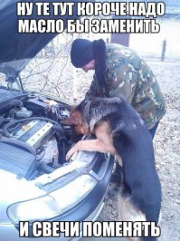 Подборка автоприколов. Часть 187