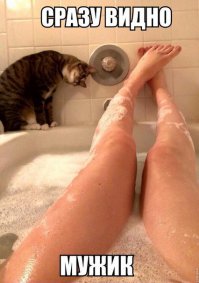 Куда пялимся?!