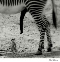 Удачный кадр