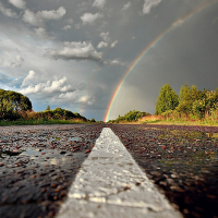 Фотоподборка за 29.12.2014