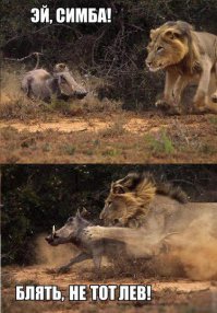 Ужин пришел