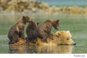 Я думаю, тебе нужна моя помощь!