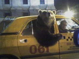 Meanwhile in Russia