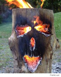 Деревья — как живые  