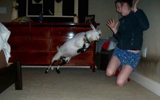 Удачный кадр