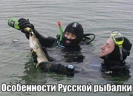 Анти Гиринпис