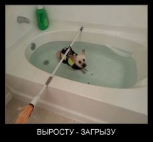 До и после душа