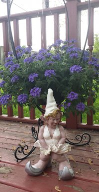 зачем из мисс Монро сделали Румпельштильцхена ? От зависти видимо.
Вперёд к победу вандализма -идиотизма ..