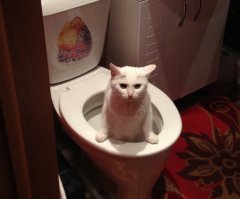 Ясно. Пойду----