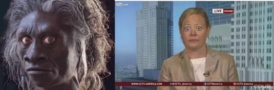 Где жили хоббиты 