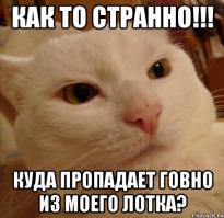 13 фактов не имеющих научного объяснения