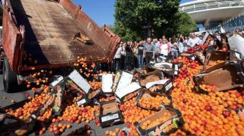 Российские санкции обрушили голландский рынок, местные фермеры в панике

Сообщается, что водителям около 300 грузовиков с фруктами и овощами было отказано во въезде на территорию РФ на границе. Также меры РФ отразились на аукционе Zaltbommel, вызвав падение цен.