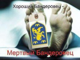 Москвичи встречают марш мира флагами ДНР И ЛНР